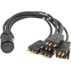 Socapex to Stagepin Break in